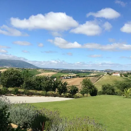 Au Claire De Vignes
