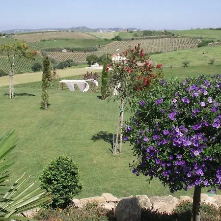 Au Claire De Vignes