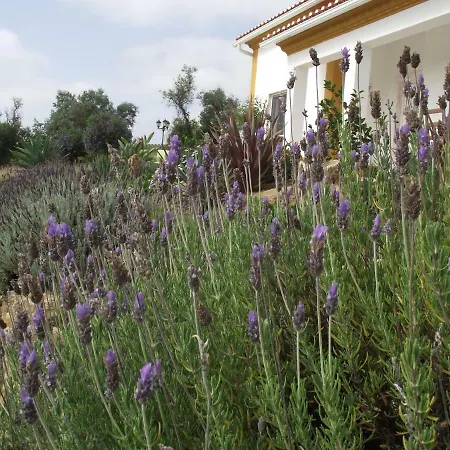 Bed and breakfast Au Claire De Vignes
